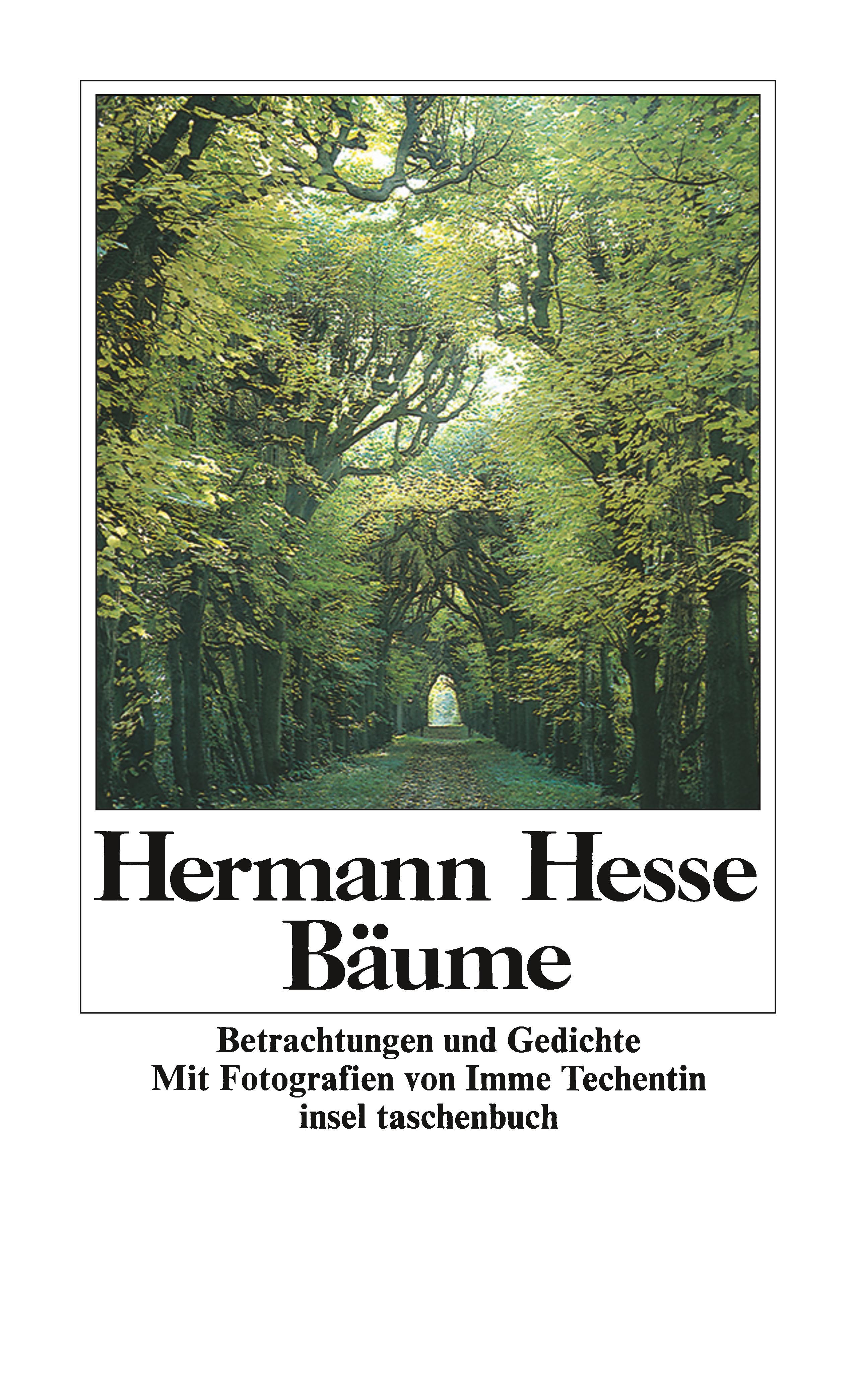 Vorderes Coverbild Bäume
