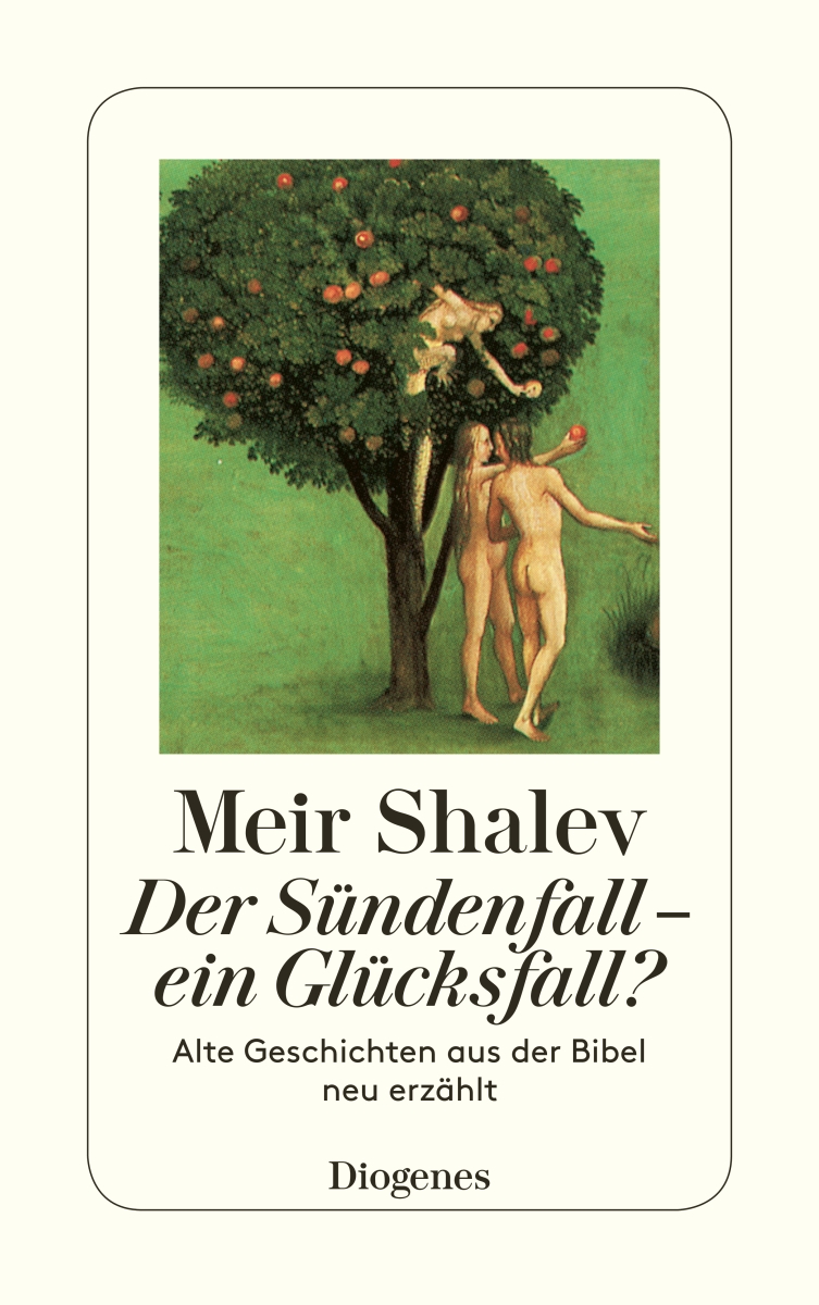 Vorderes Coverbild Der Sündenfall, ein Glücksfall?