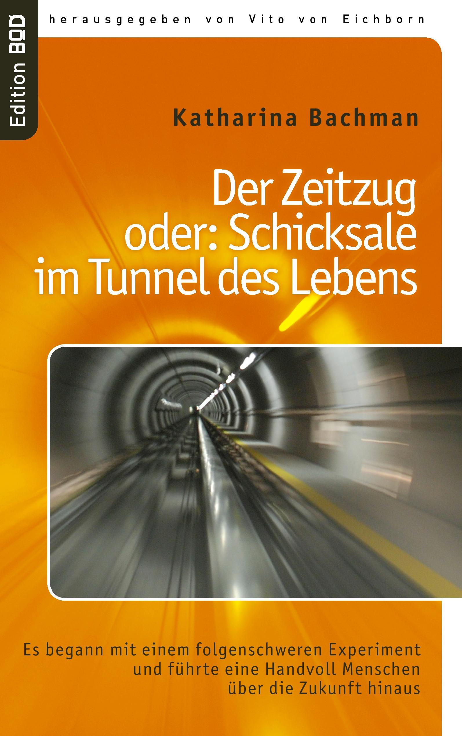 Vorderes Coverbild Der Zeitzug