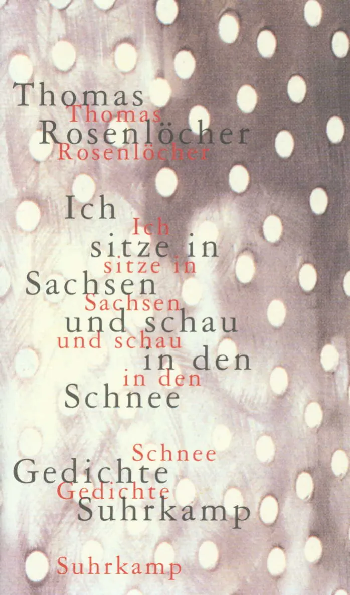 Vorderes Coverbild Ich sitze in Sachsen und schau in den Schnee