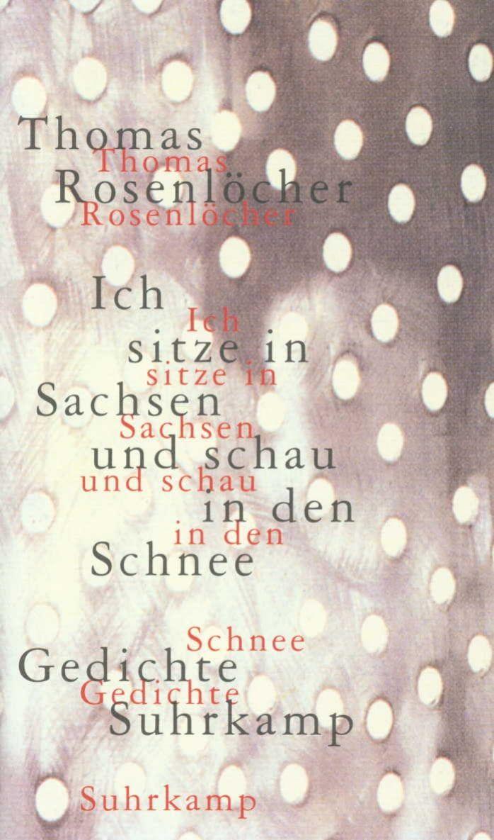 Vorderes Coverbild Ich sitze in Sachsen und schau in den Schnee