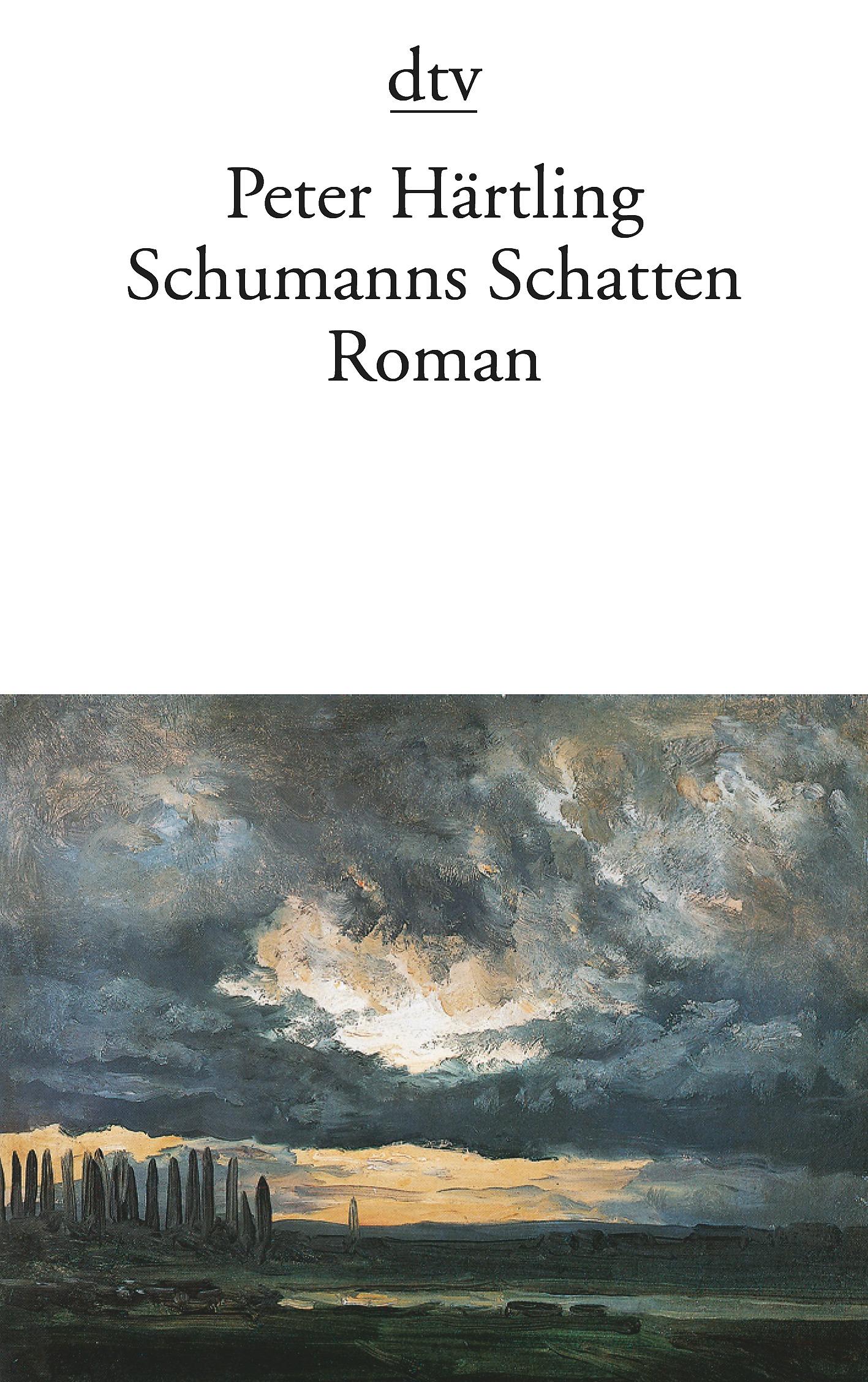 Vorderes Coverbild Schumanns Schatten