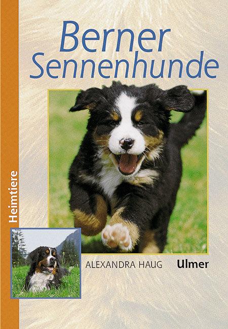 Vorderes Coverbild Berner Sennenhunde