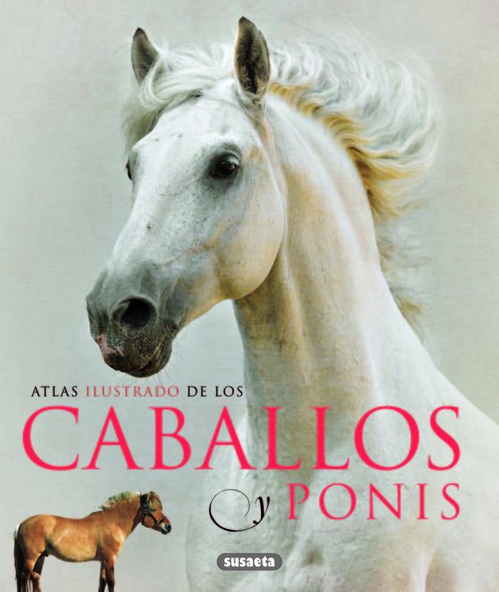 Vorderes Coverbild Caballos y ponis