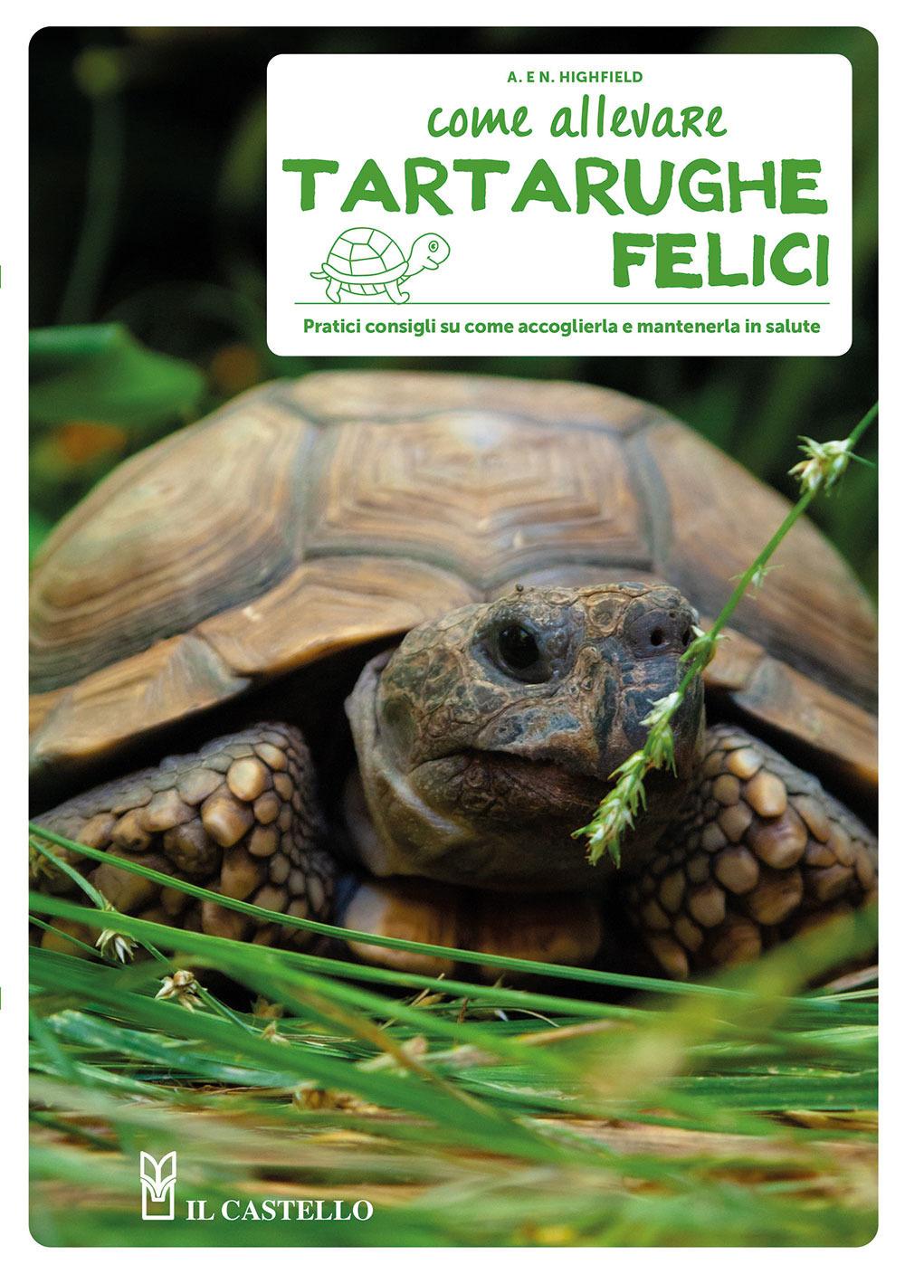 Vorderes Coverbild Come allevare tartarughe felici