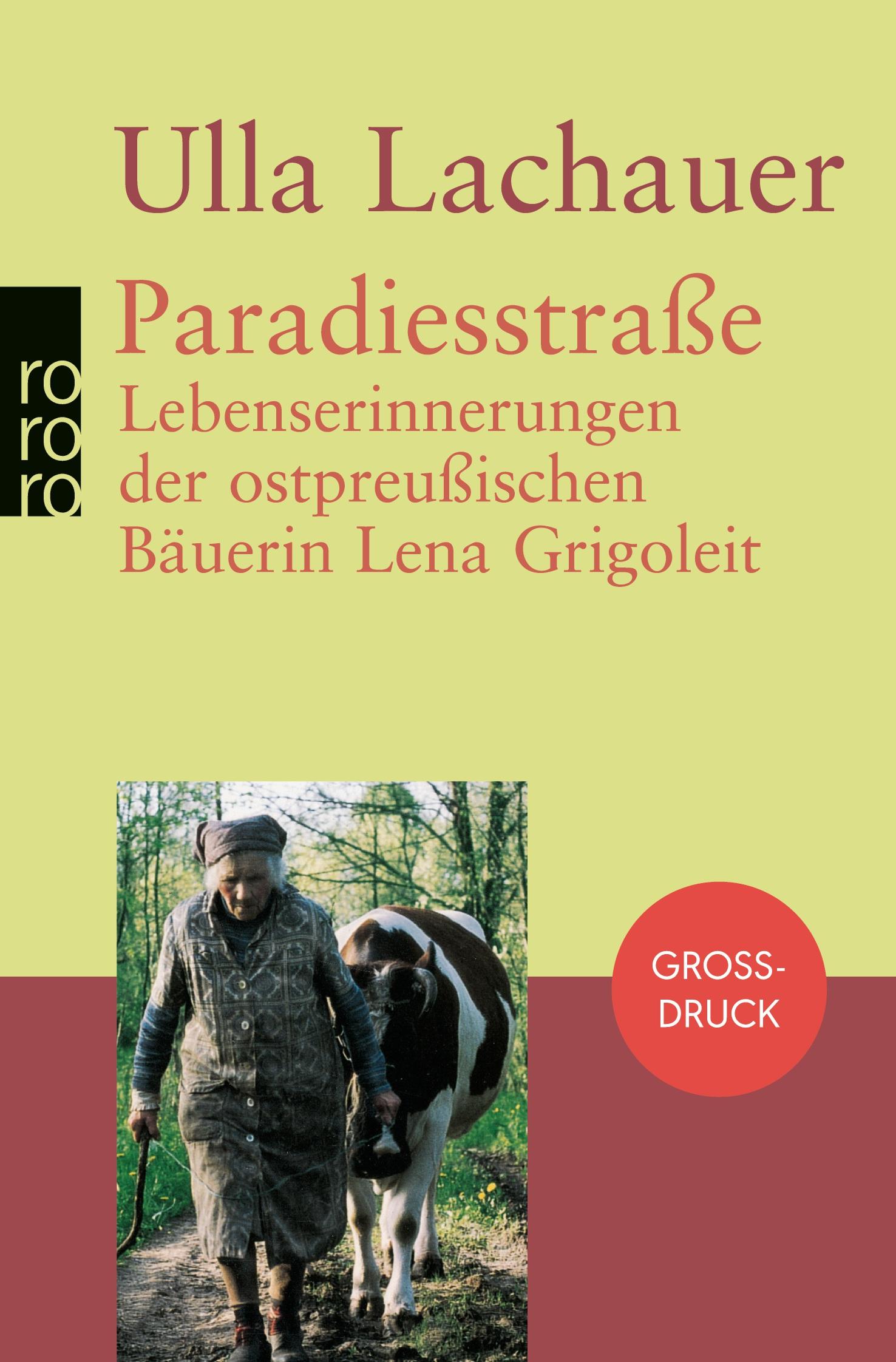 Vorderes Coverbild Paradiesstraße