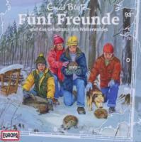 Vorderes Coverbild Fünf Freunde 093 und das Geheimnis des Winterwaldes