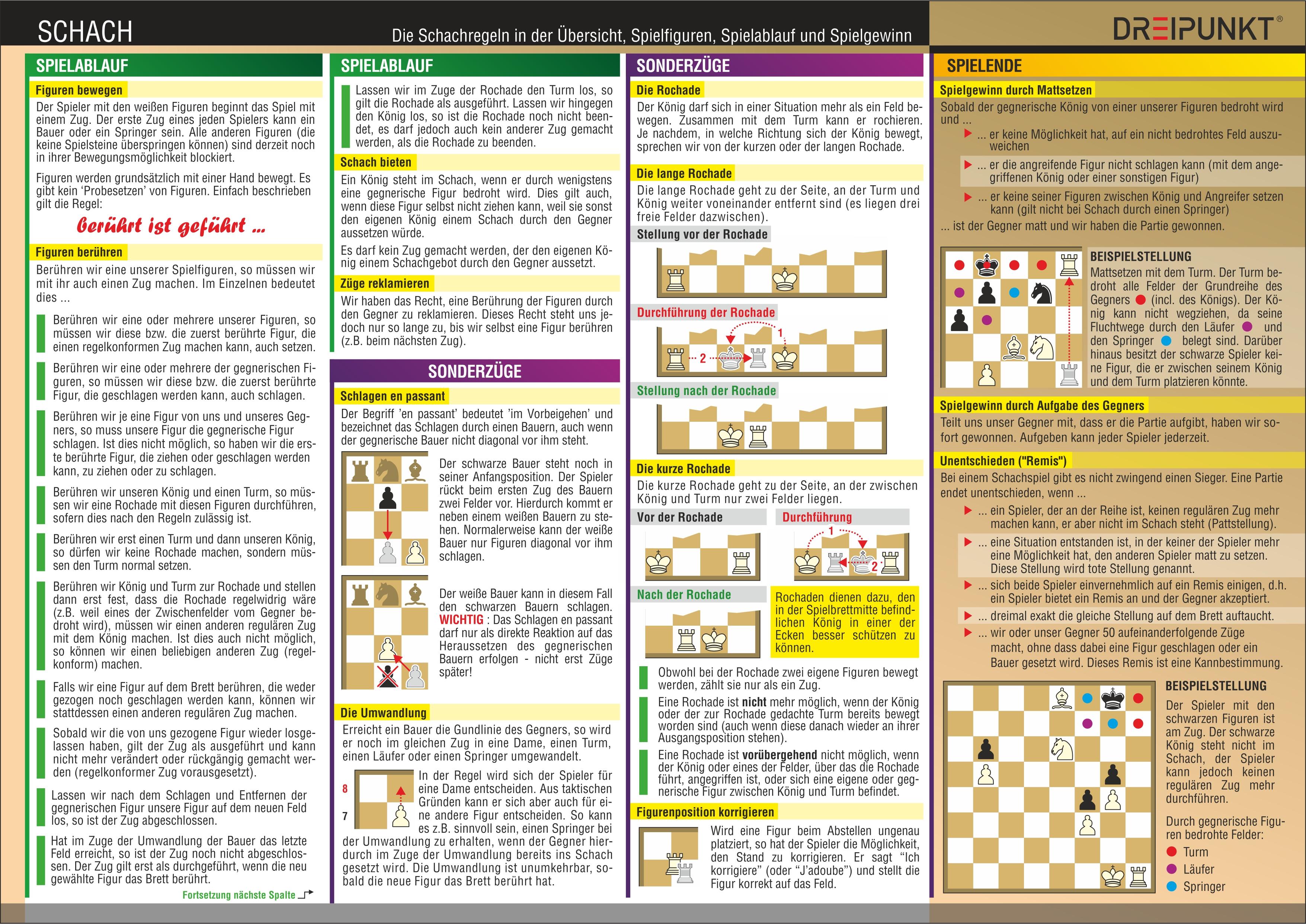 Rückseitencover Schach - Regeln