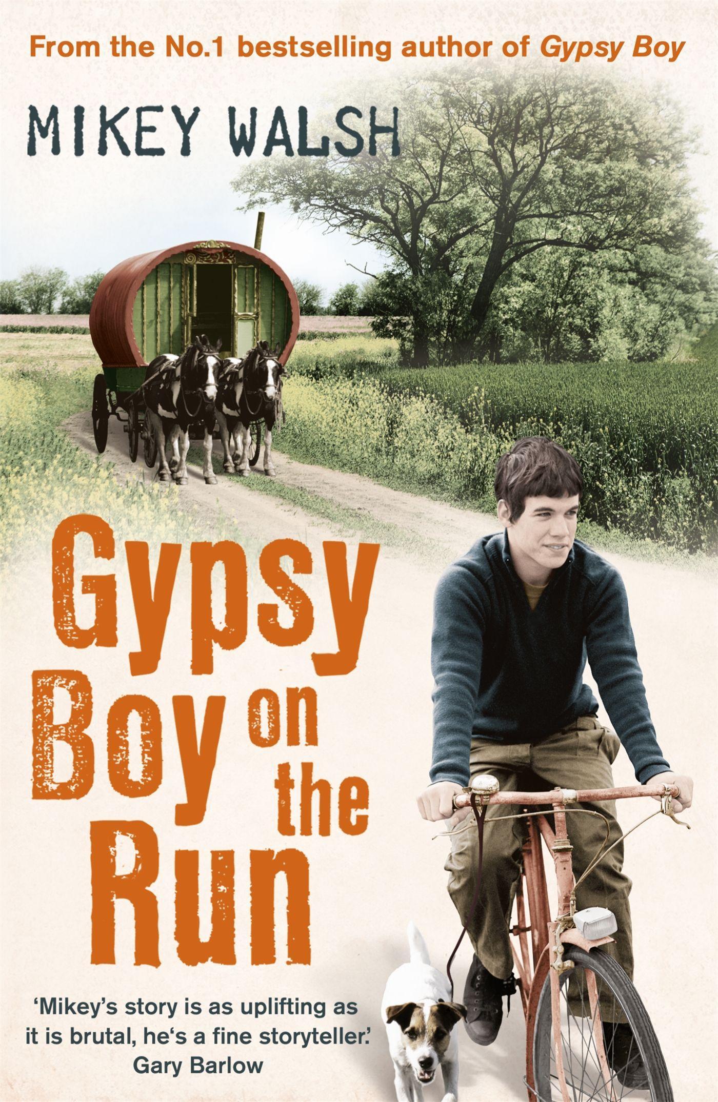 Vorderes Coverbild Gypsy Boy on the Run