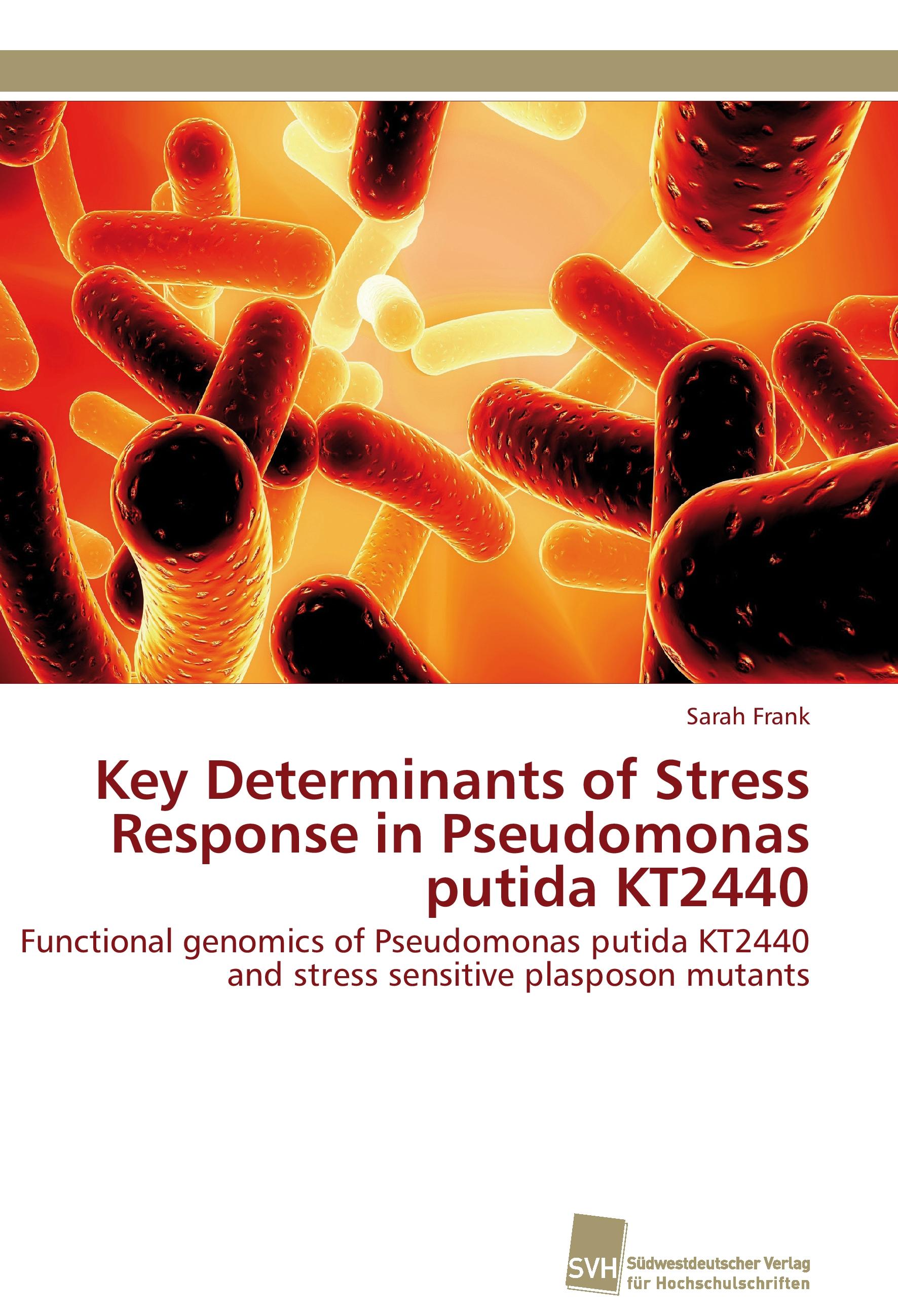 Vorderes Coverbild Key Determinants of Stress Response in Pseudomonas putida KT2440