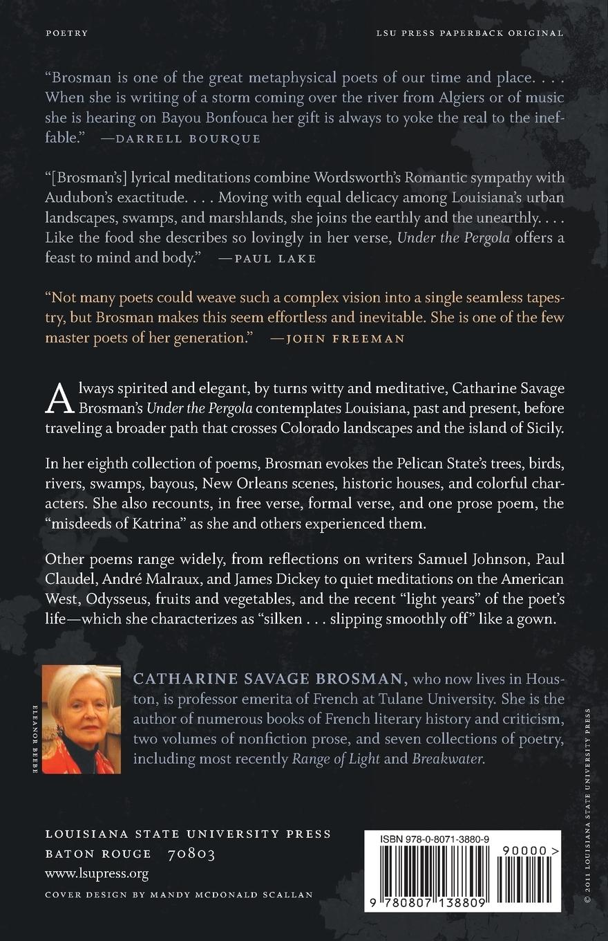 Rückseitencover Under the Pergola