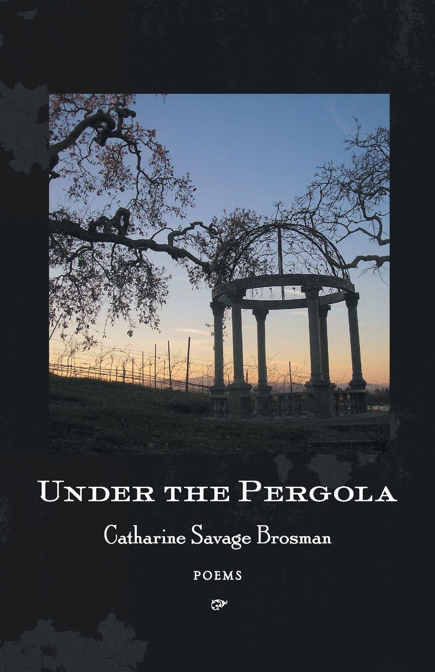 Vorderes Coverbild Under the Pergola