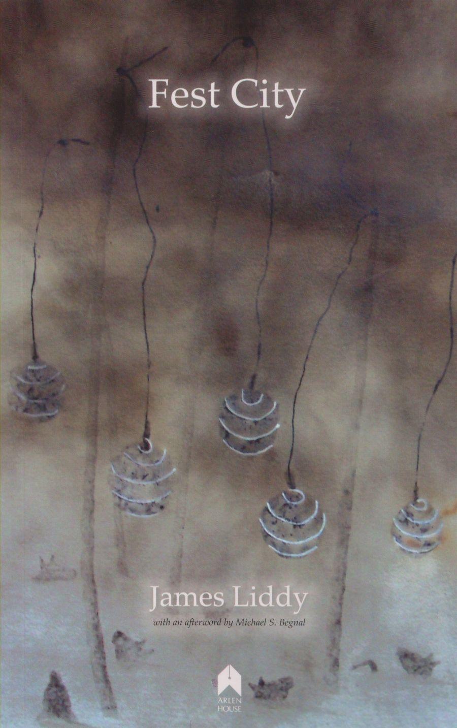 Vorderes Coverbild Fest City