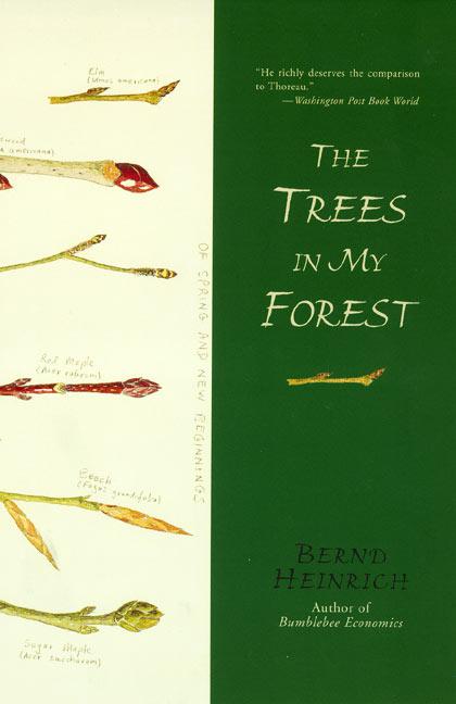 Vorderes Coverbild Trees in My Forest, The