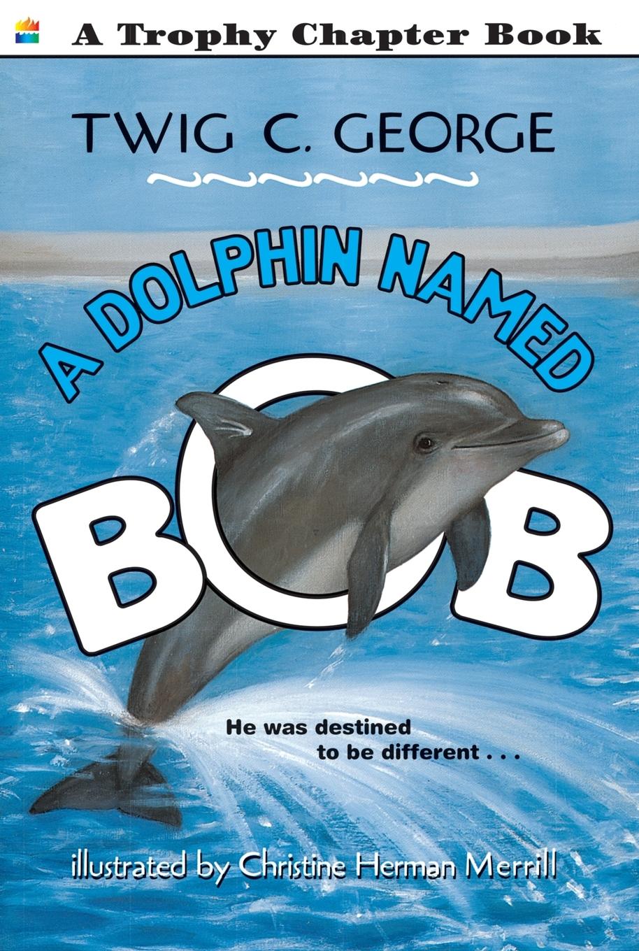 Vorderes Coverbild Dolphin Named Bob, A
