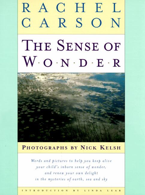 Vorderes Coverbild The Sense of Wonder