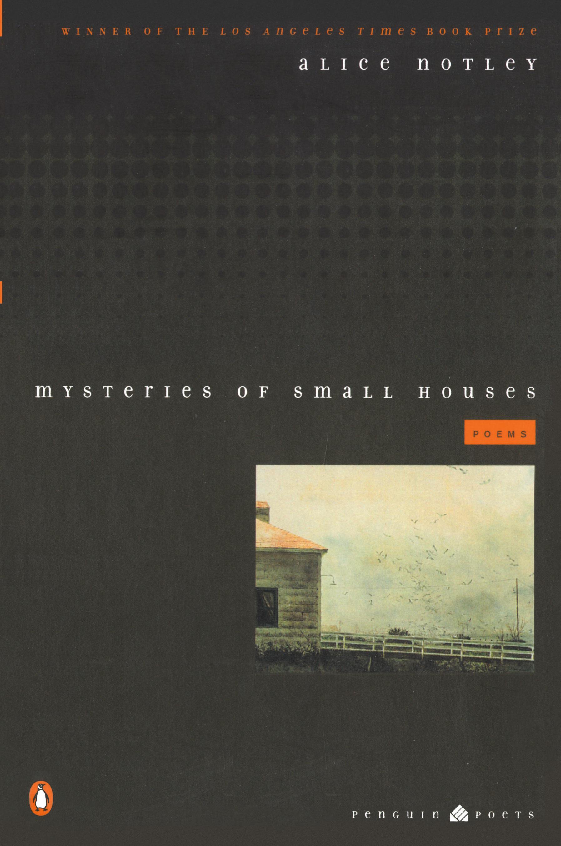 Vorderes Coverbild Mysteries of Small Houses