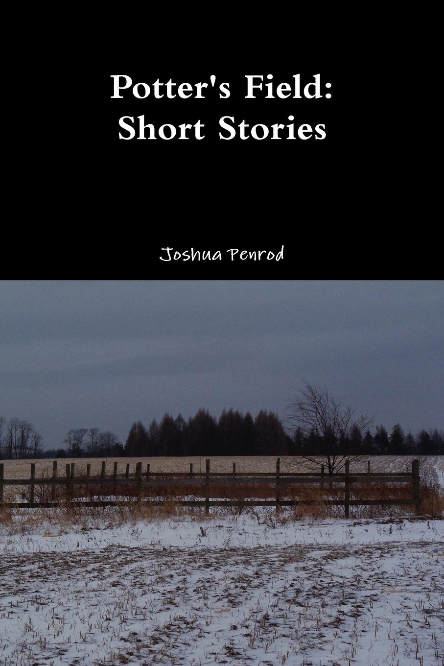 Vorderes Coverbild Potter's Field