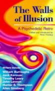 Vorderes Coverbild The Walls of Illusion
