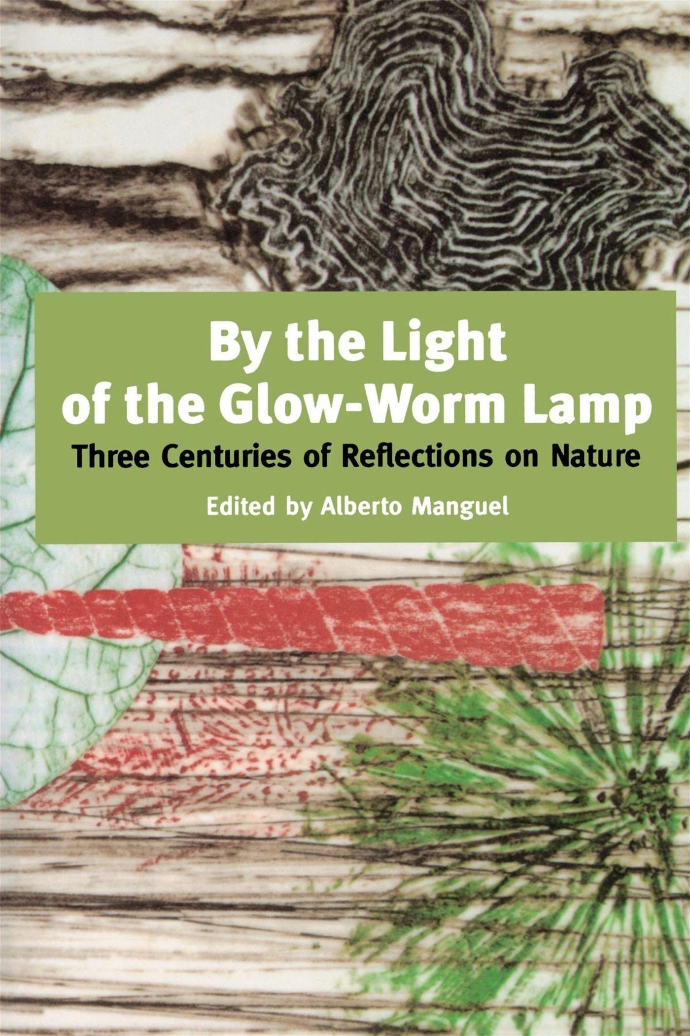 Vorderes Coverbild By the Light of the Glow-Worm Lamp