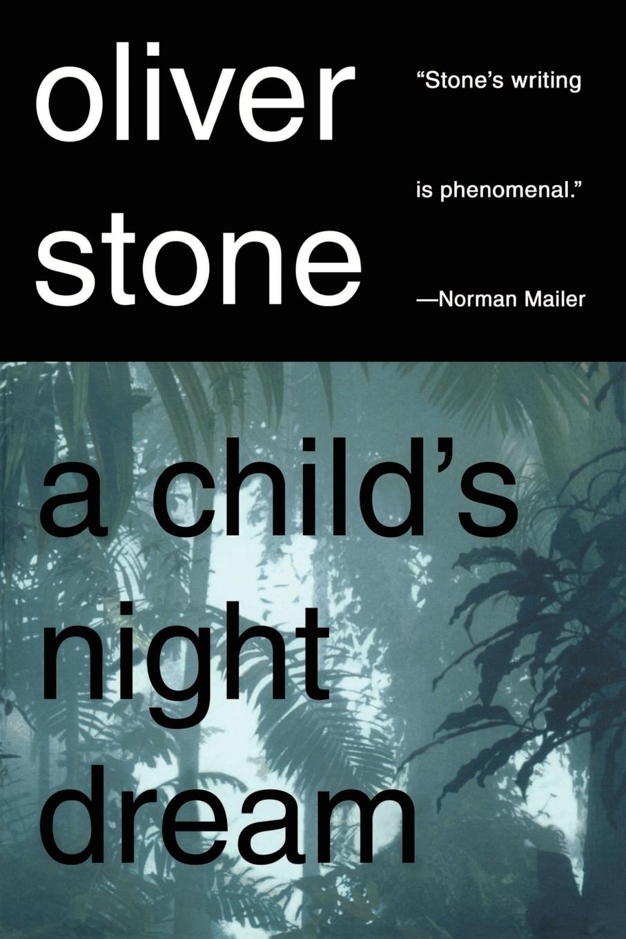 Vorderes Coverbild A Child's Night Dream