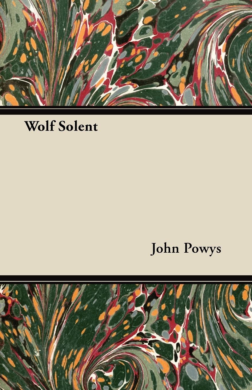 Vorderes Coverbild Wolf Solent