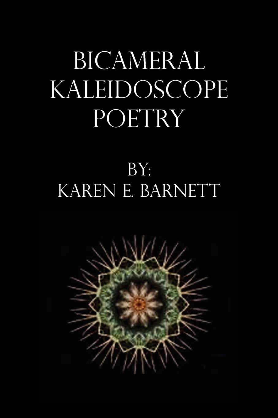 Vorderes Coverbild Bicameral Kaleidoscope Poetry