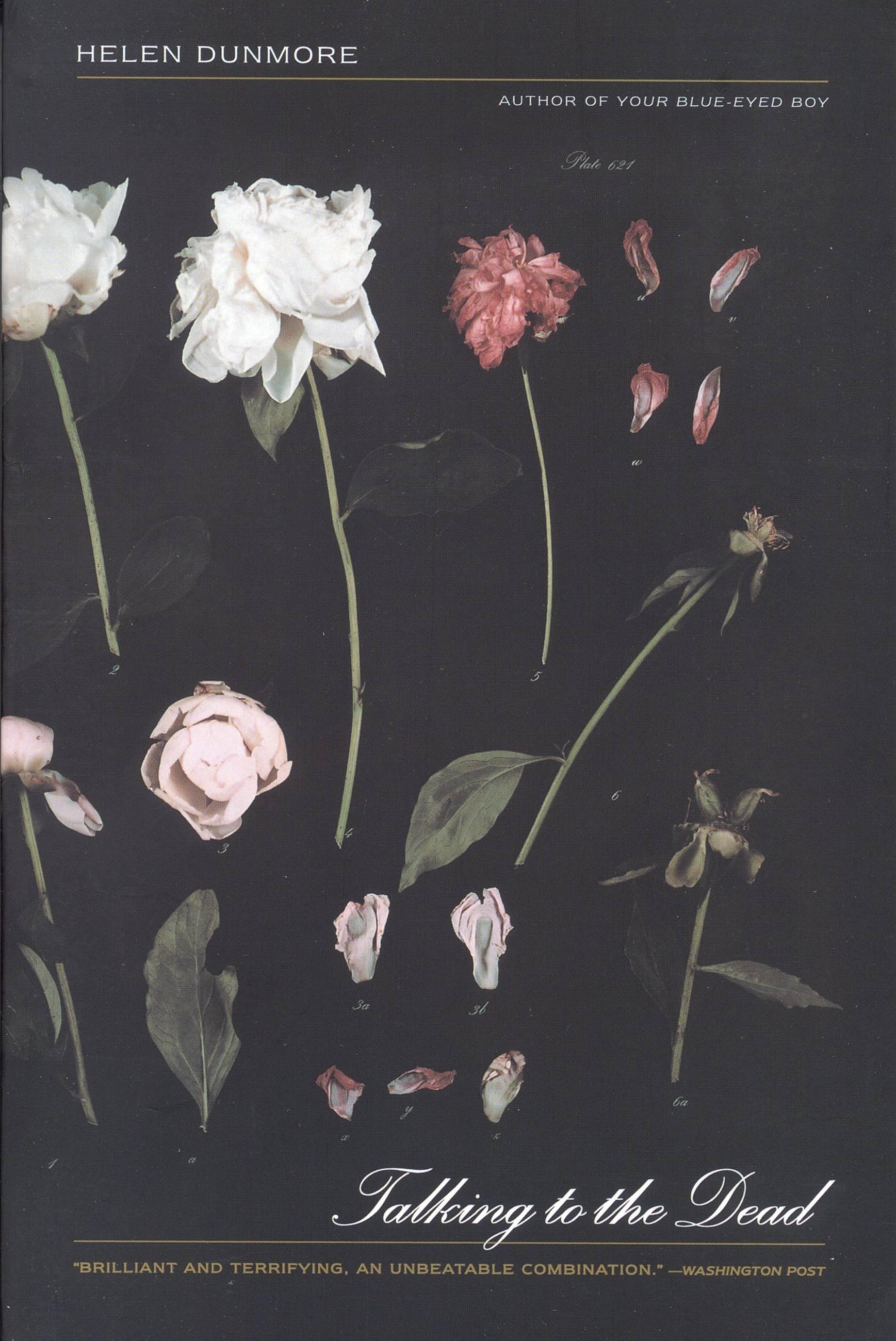 Vorderes Coverbild Talking to the Dead