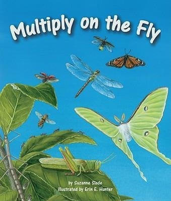Vorderes Coverbild Multiply on the Fly