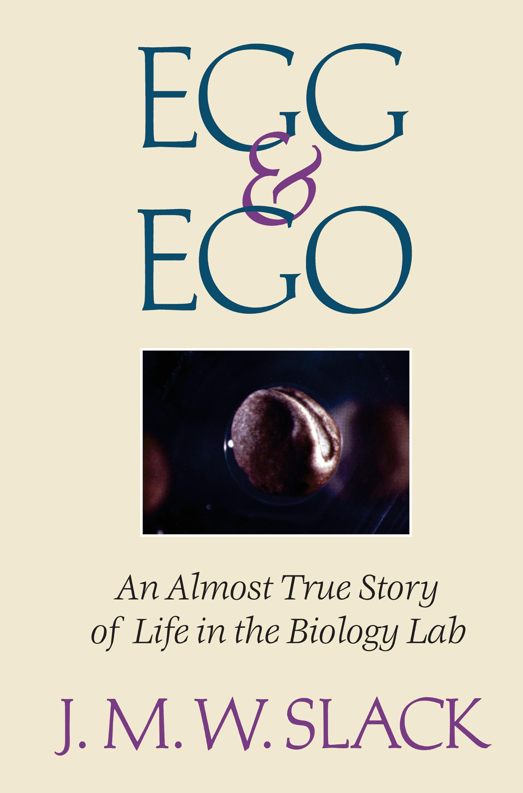 Vorderes Coverbild Egg & Ego