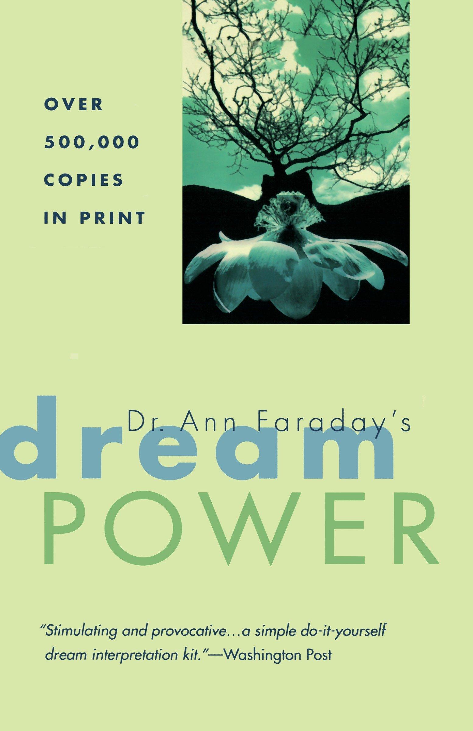 Vorderes Coverbild Dr. Ann Faraday's Dream Power