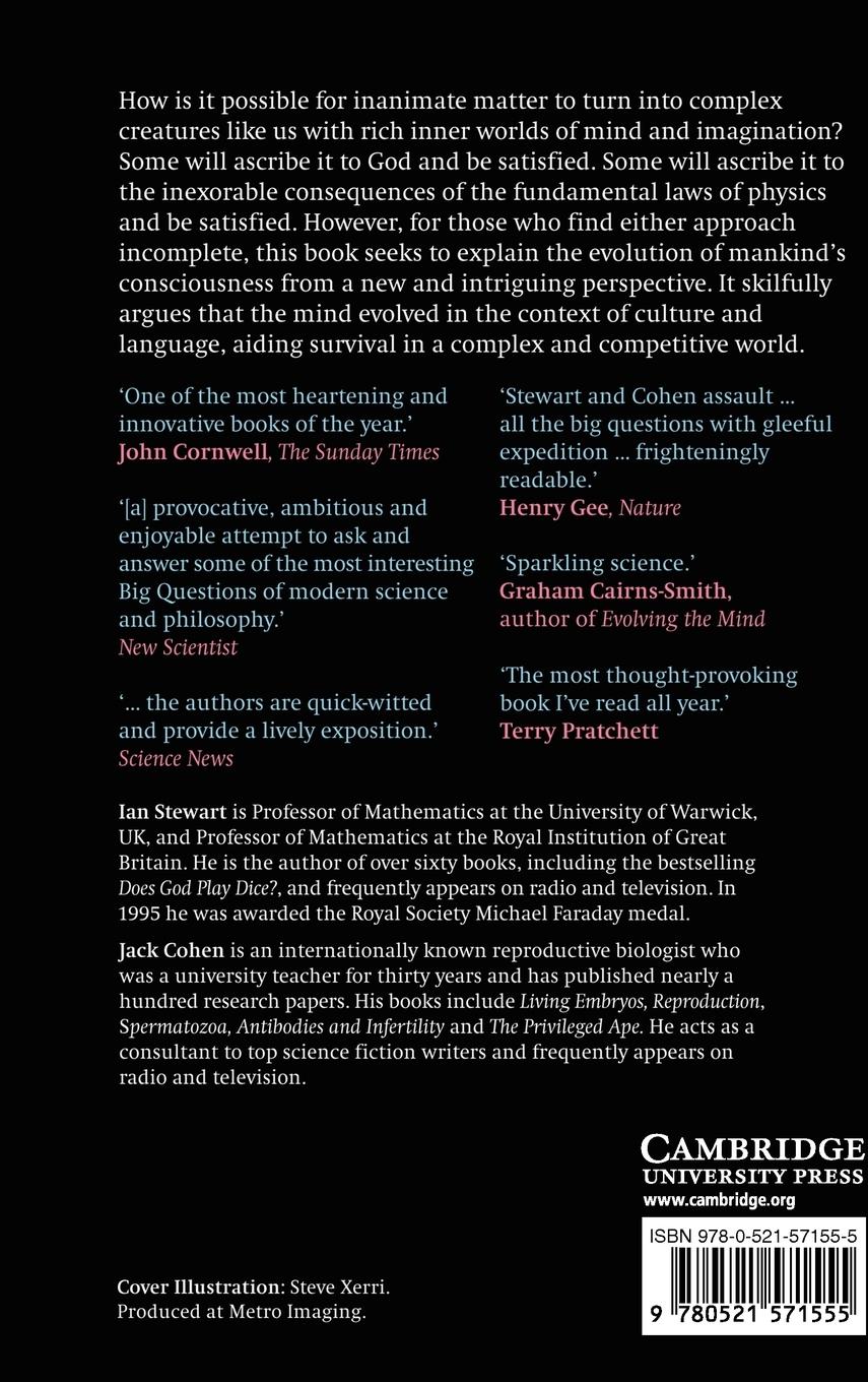 Rückseitencover Figments of Reality