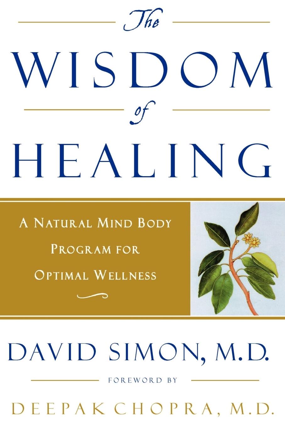 Vorderes Coverbild The Wisdom of Healing