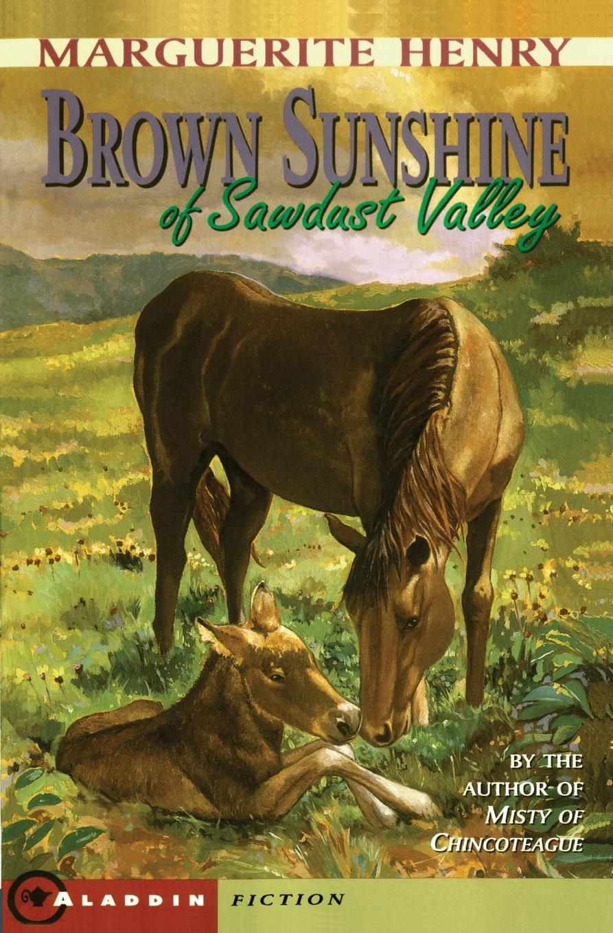 Vorderes Coverbild Brown Sunshine of Sawdust Valley