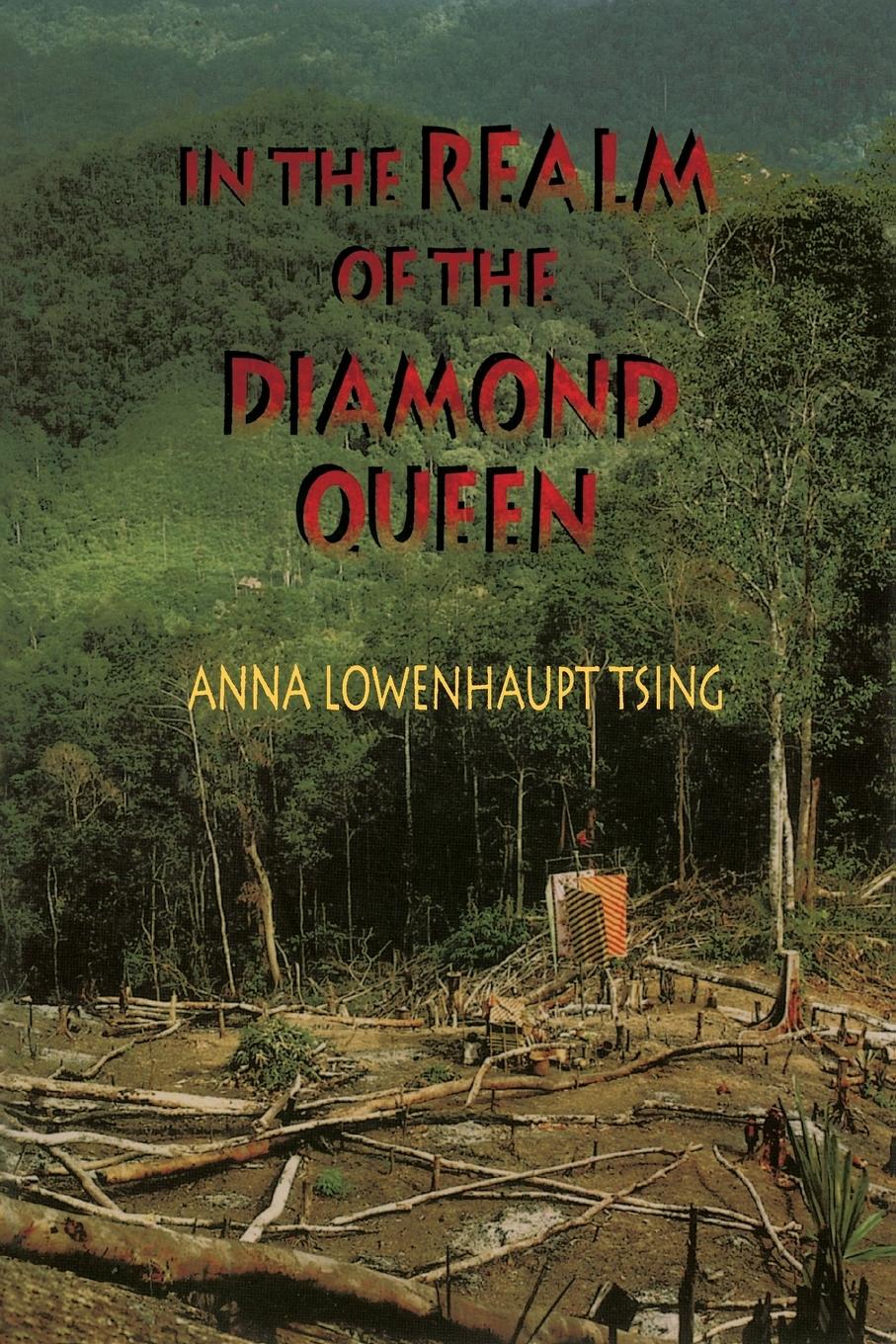 Vorderes Coverbild In the Realm of the Diamond Queen