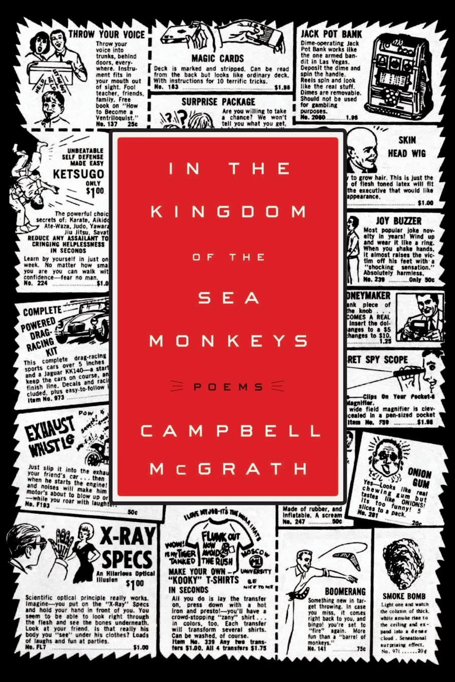 Vorderes Coverbild In the Kingdom of the Sea Monkeys