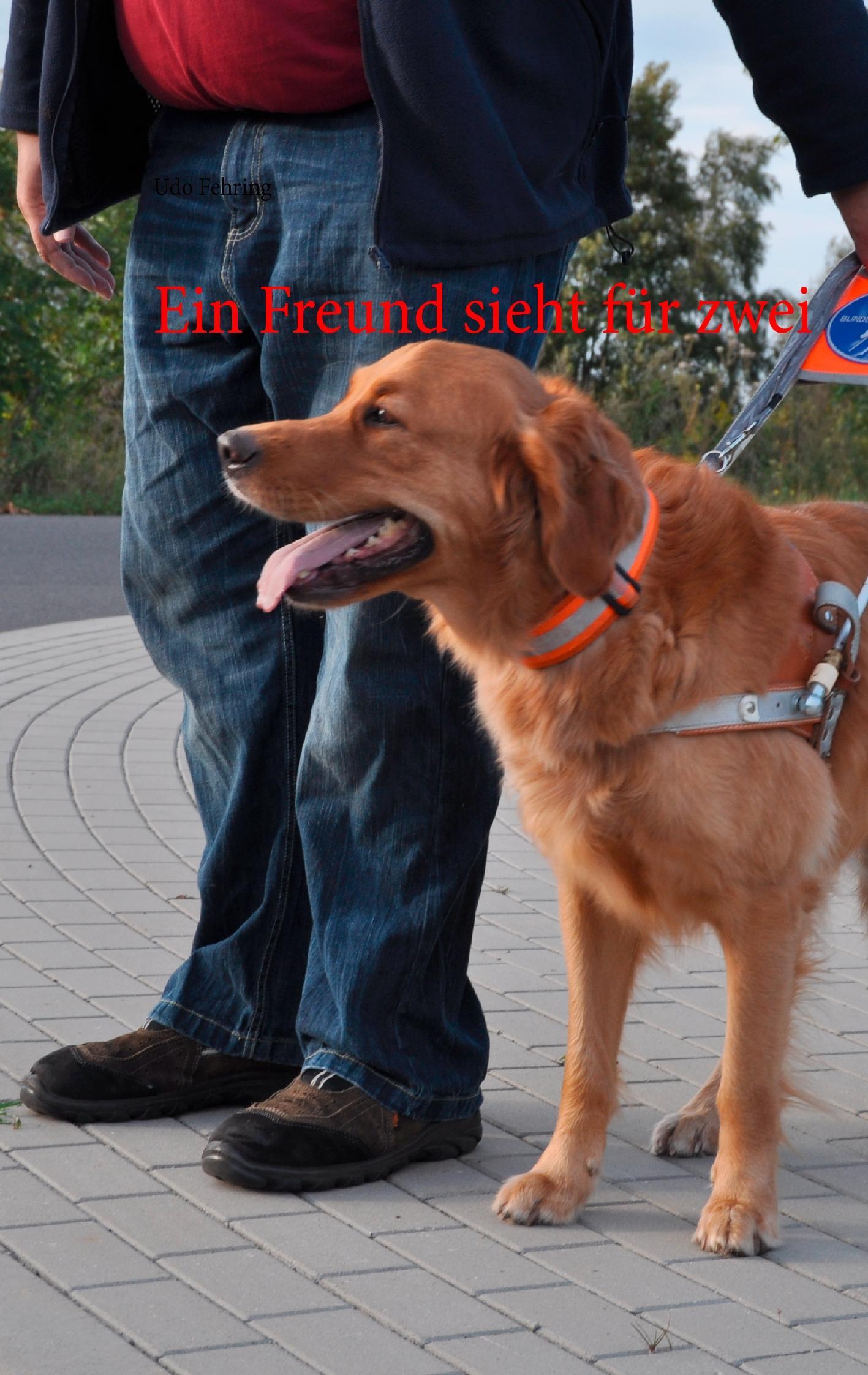Vorderes Coverbild Ein Freund sieht für zwei