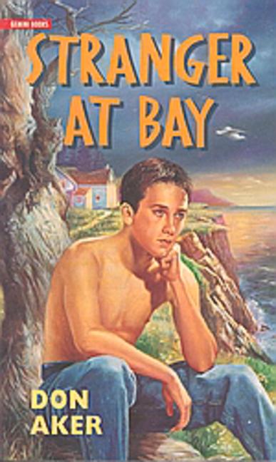 Vorderes Coverbild Stranger at Bay