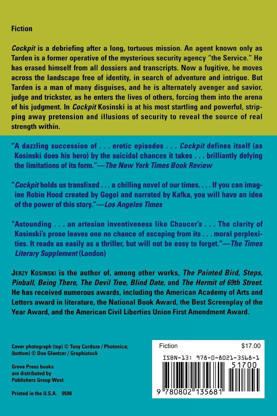 Rückseitencover Cockpit