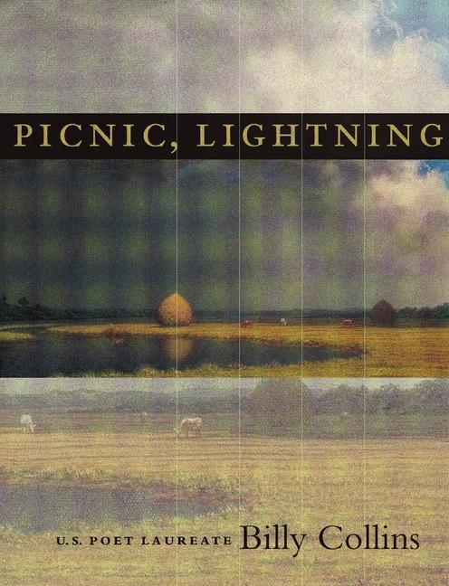 Vorderes Coverbild Picnic, Lightning