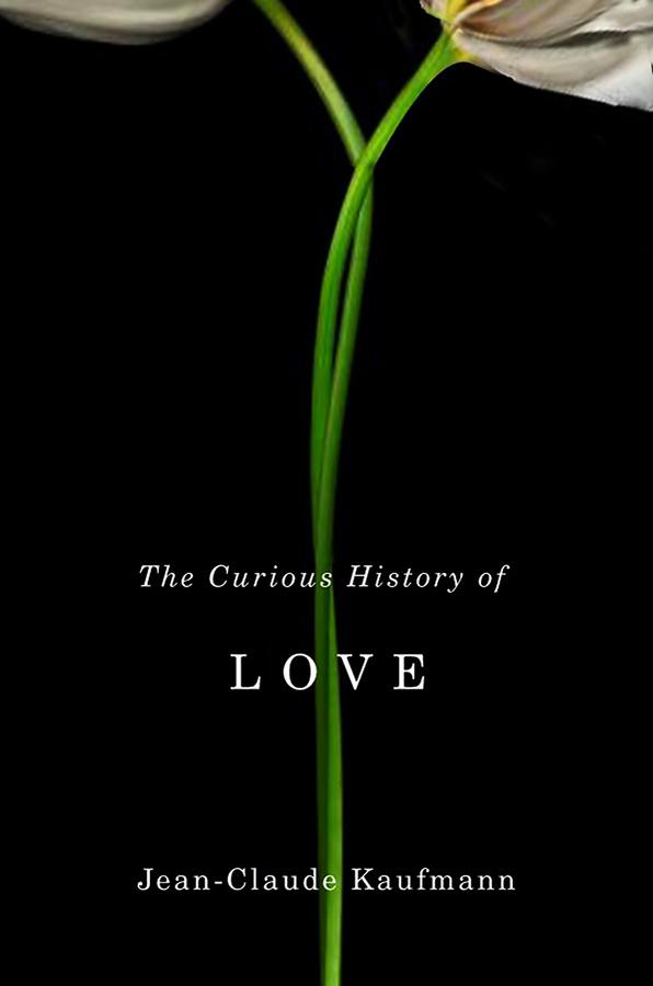 Vorderes Coverbild The Curious History of Love