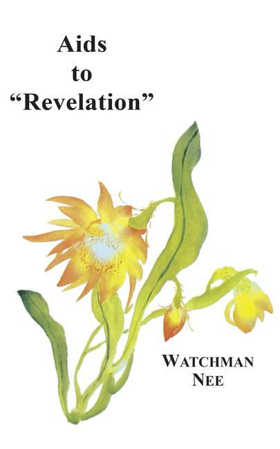 Vorderes Coverbild AIDS to Revelation