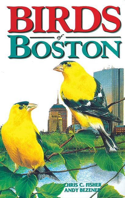 Vorderes Coverbild Birds of Boston