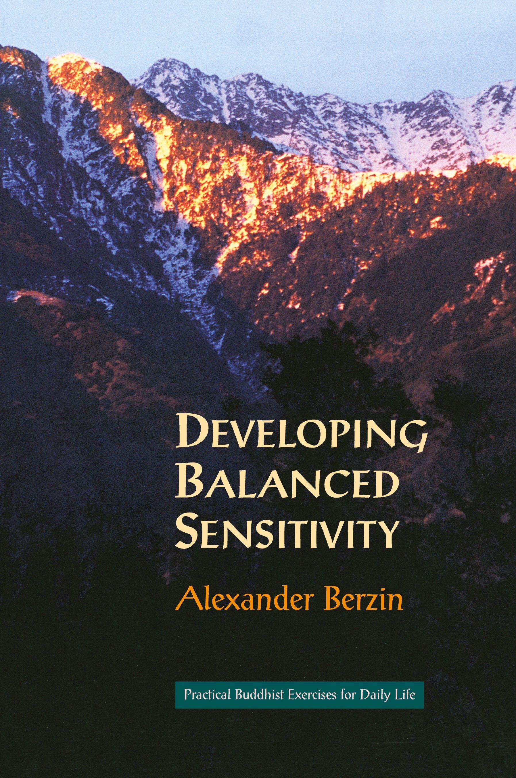 Vorderes Coverbild Developing Balanced Sensitivity