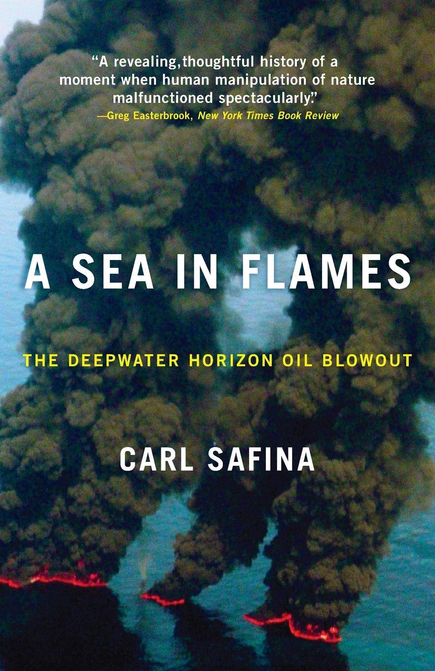 Vorderes Coverbild A Sea in Flames