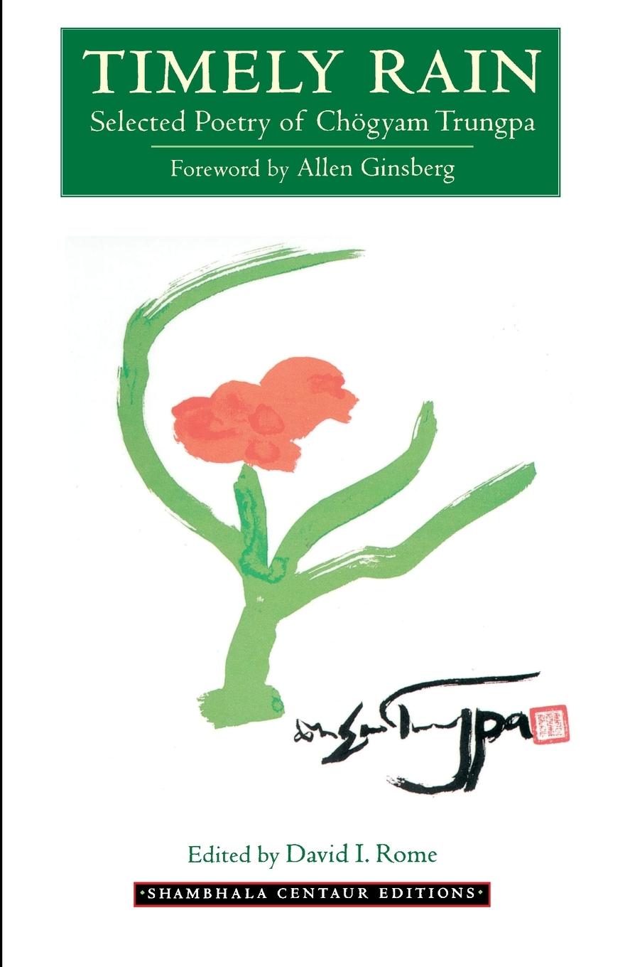 Vorderes Coverbild Timely Rain