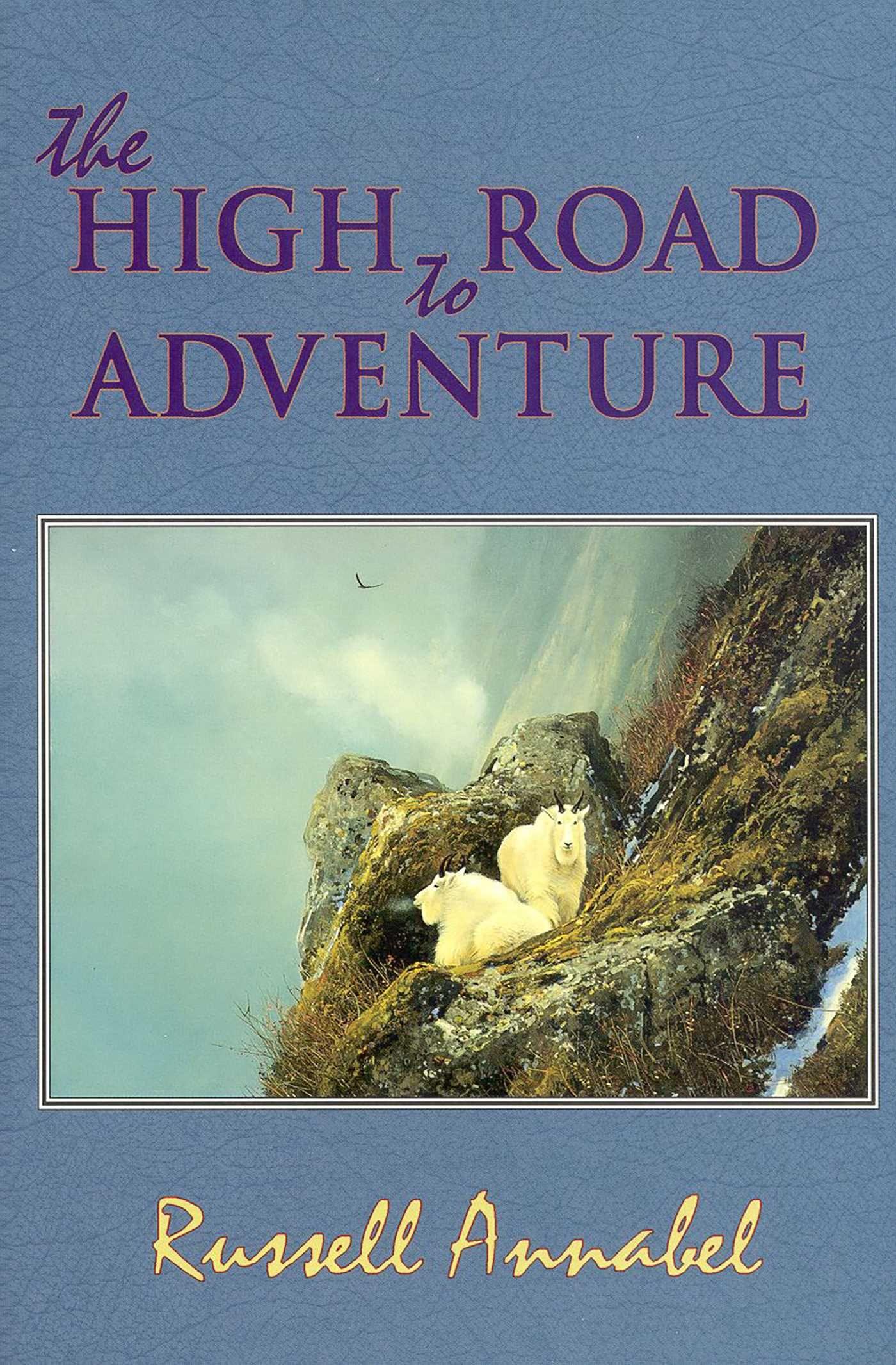 Vorderes Coverbild The High Road to Adventure