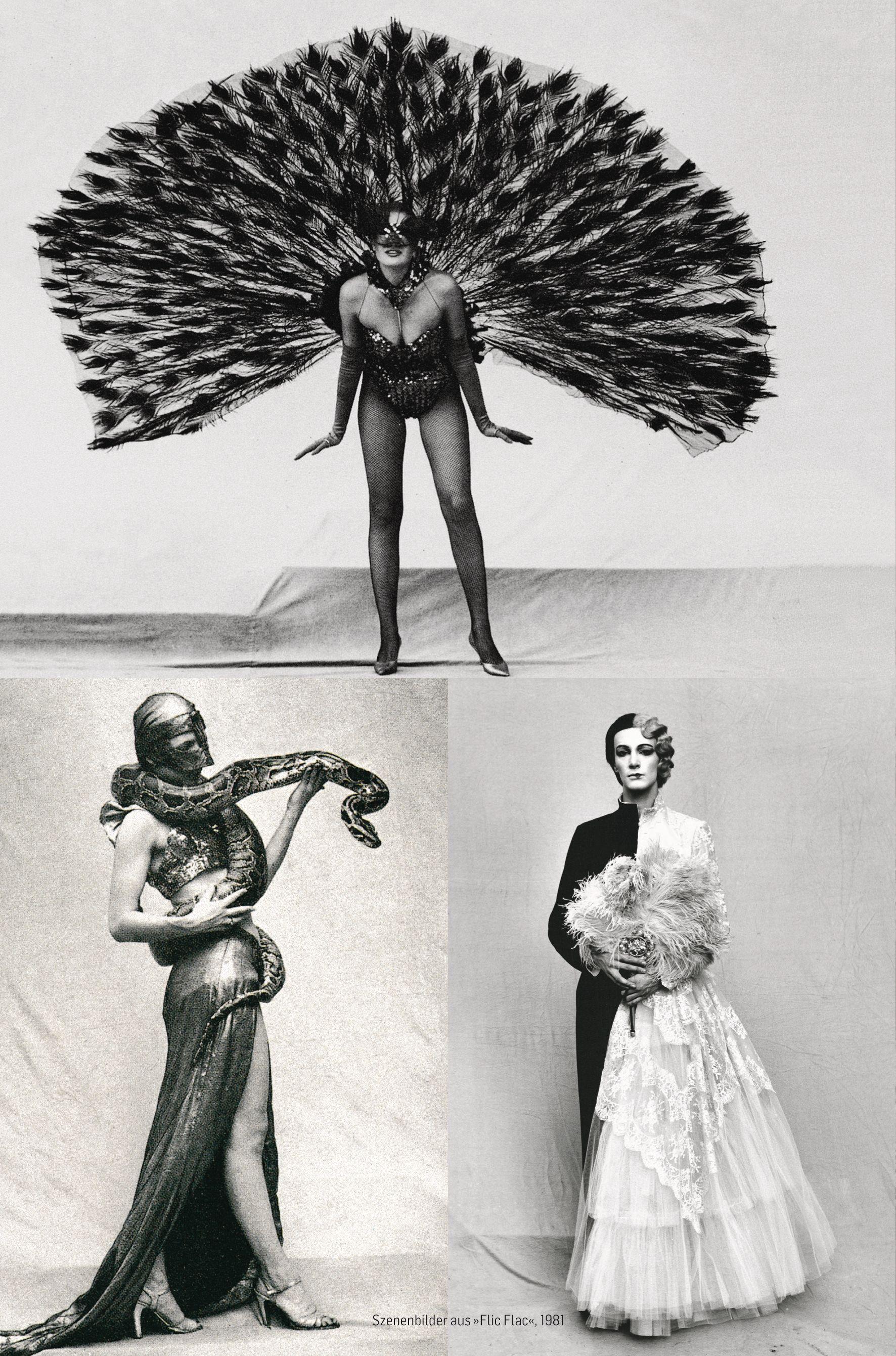 Beispielinhalt (Bild) André Heller