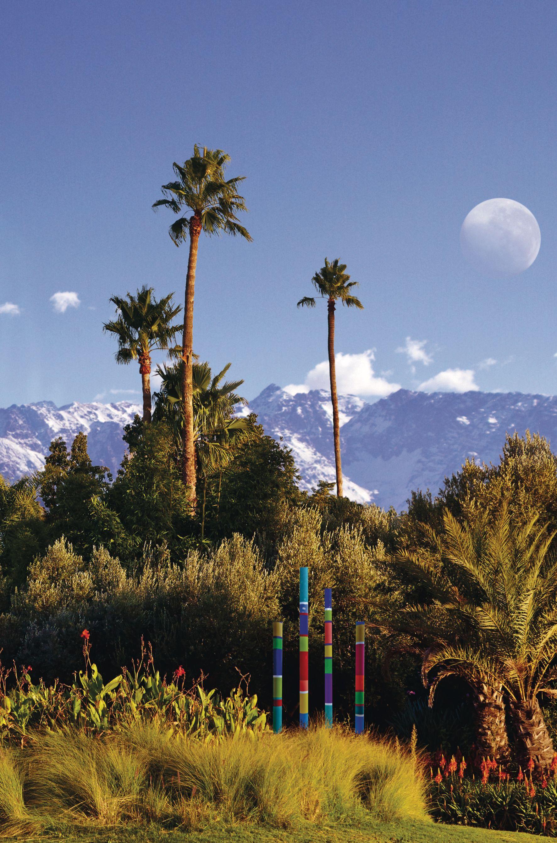 Beispielinhalt (Bild) André Heller