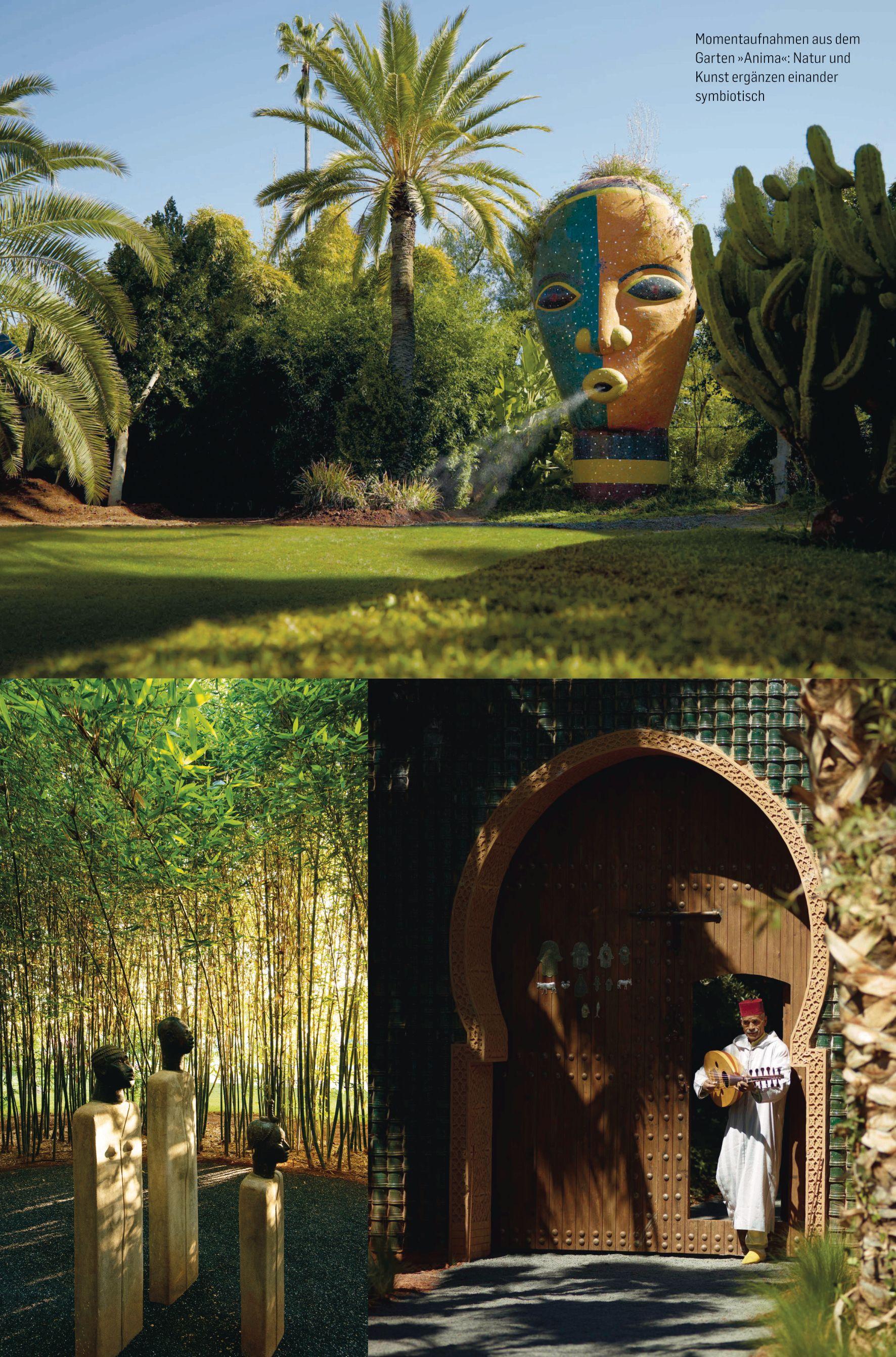 Beispielinhalt (Bild) André Heller